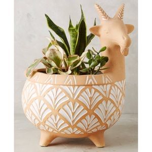ISO Anthropologie Billy Goat Planter!!!